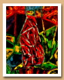 Les années 1990 - ARDINO'S ART GALLERY 