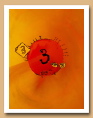 Les chiffres, les nombres et l'infini à partir de novembre 2006 - ARDINO'S ART GALLERY 