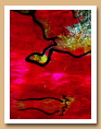 Collection privée - ARDINO'S ART GALLERY 