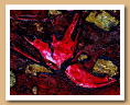 Détails des années 1980 - ARDINO'S ART GALLERY 