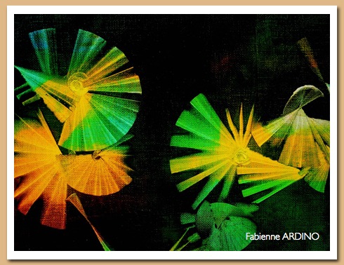détail danse oiseaux