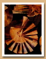Détails des années 1990 - ARDINO'S ART GALLERY 