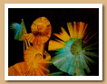 Détails des années 1990 - ARDINO'S ART GALLERY 
