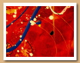 Détails des années 1999 à 2001 - ARDINO'S ART GALLERY 